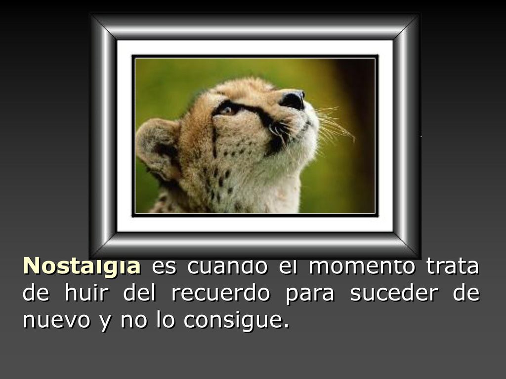 Nostalgia es cuando el momento trata de huir del recuerdo para suceder de nuevo y no lo consigue.