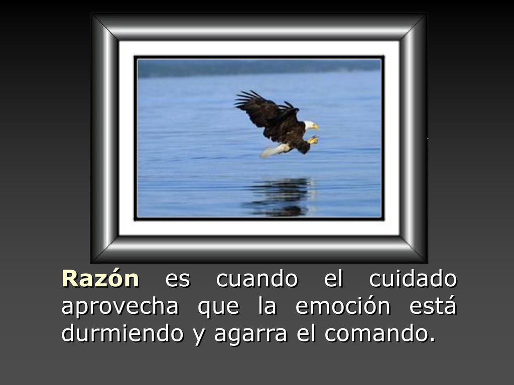 Razón es cuando el cuidado aprovecha que la emoción está durmiendo y agarra el comando.