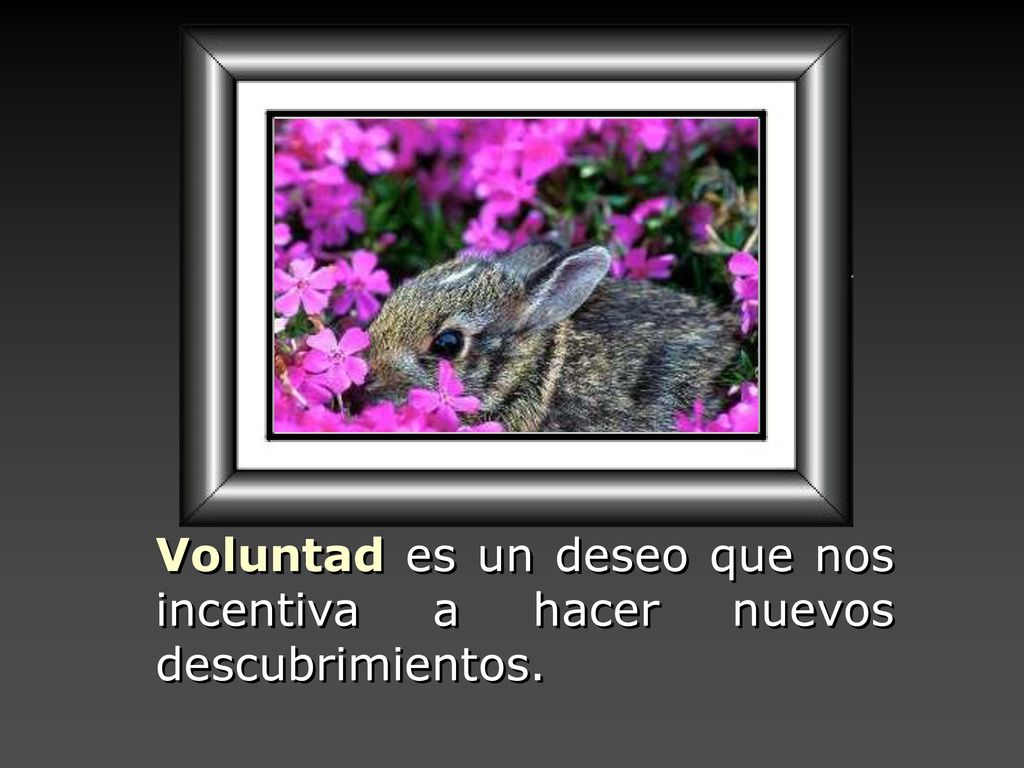 Voluntad es un deseo que nos incentiva a hacer nuevos descubrimientos.