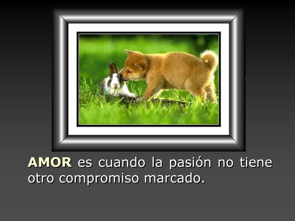 AMOR es cuando la pasión no tiene otro compromiso marcado.