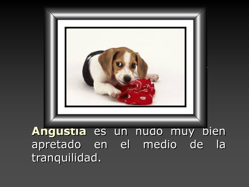 Angustia es un nudo muy bien apretado en el medio de la tranquilidad.