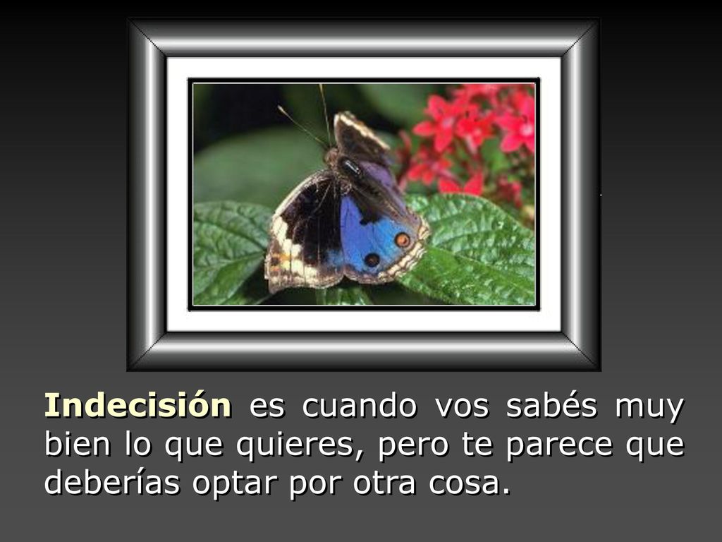 Indecisión es cuando vos sabés muy bien lo que quieres, pero te parece que deberías optar por otra cosa.