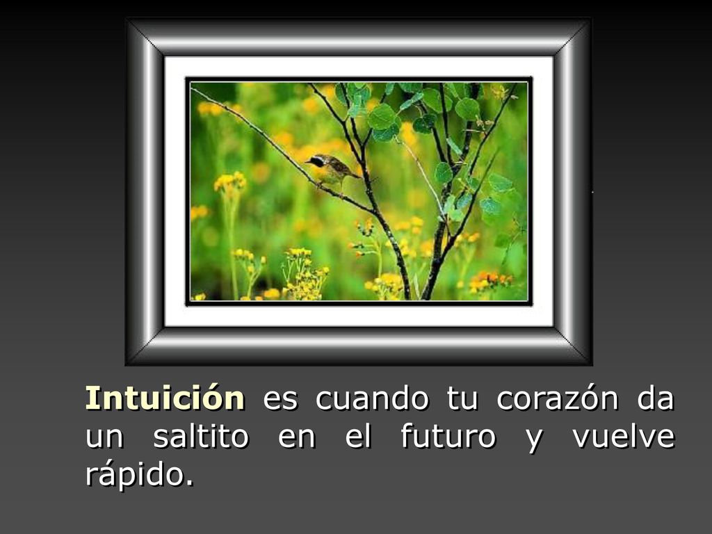 Intuición es cuando tu corazón da un saltito en el futuro y vuelve rápido.