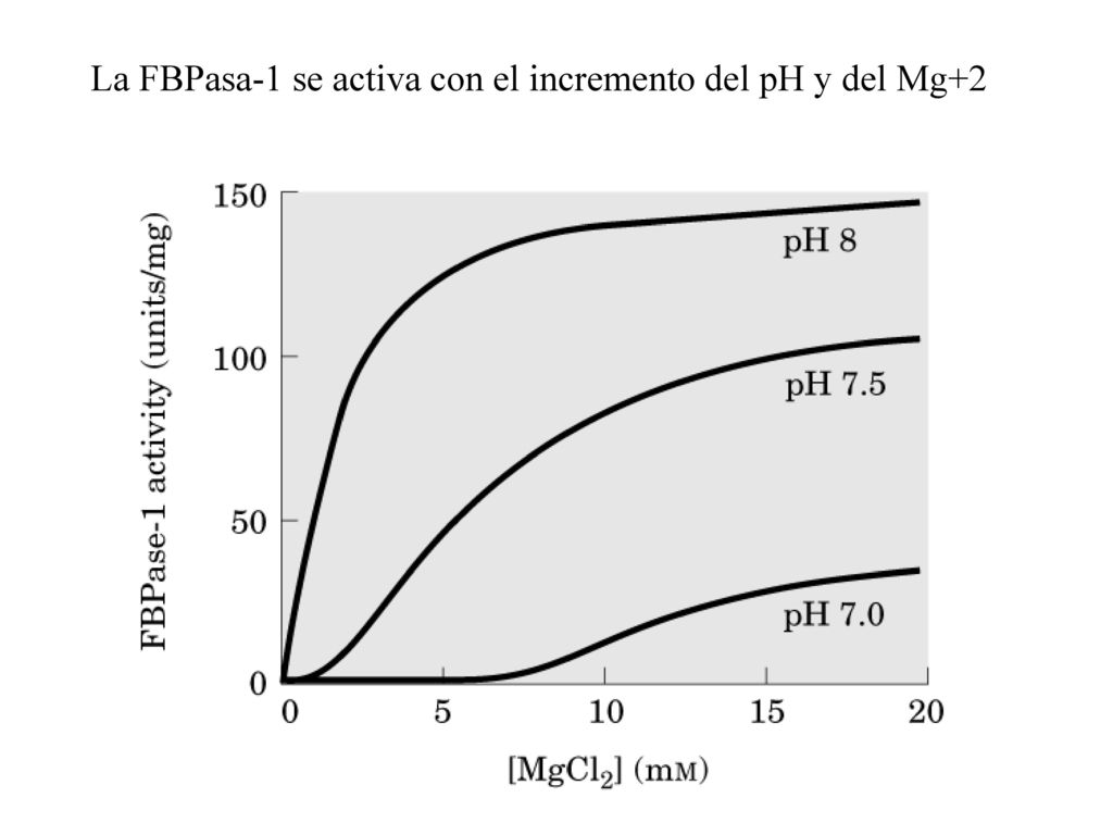 La FBPasa-1 se activa con el incremento del pH y del Mg+2