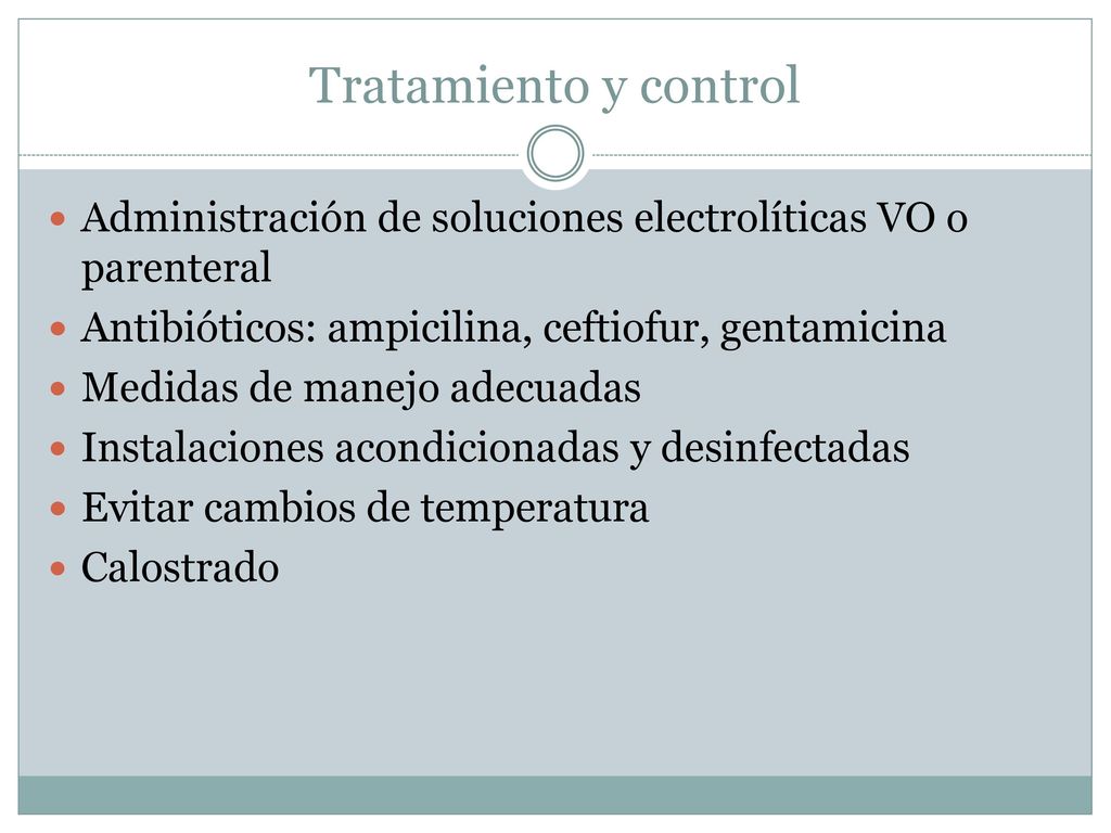 Tratamiento y control Administración de soluciones electrolíticas VO o parenteral. Antibióticos: ampicilina, ceftiofur, gentamicina.