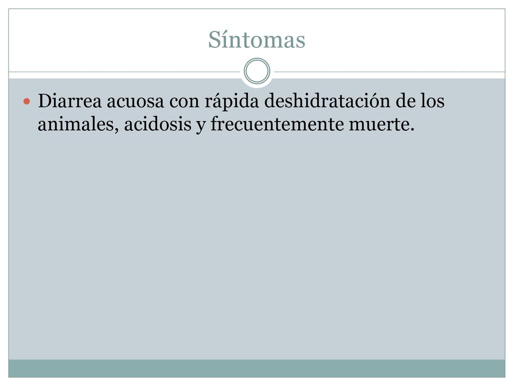 Síntomas Diarrea acuosa con rápida deshidratación de los animales, acidosis y frecuentemente muerte.