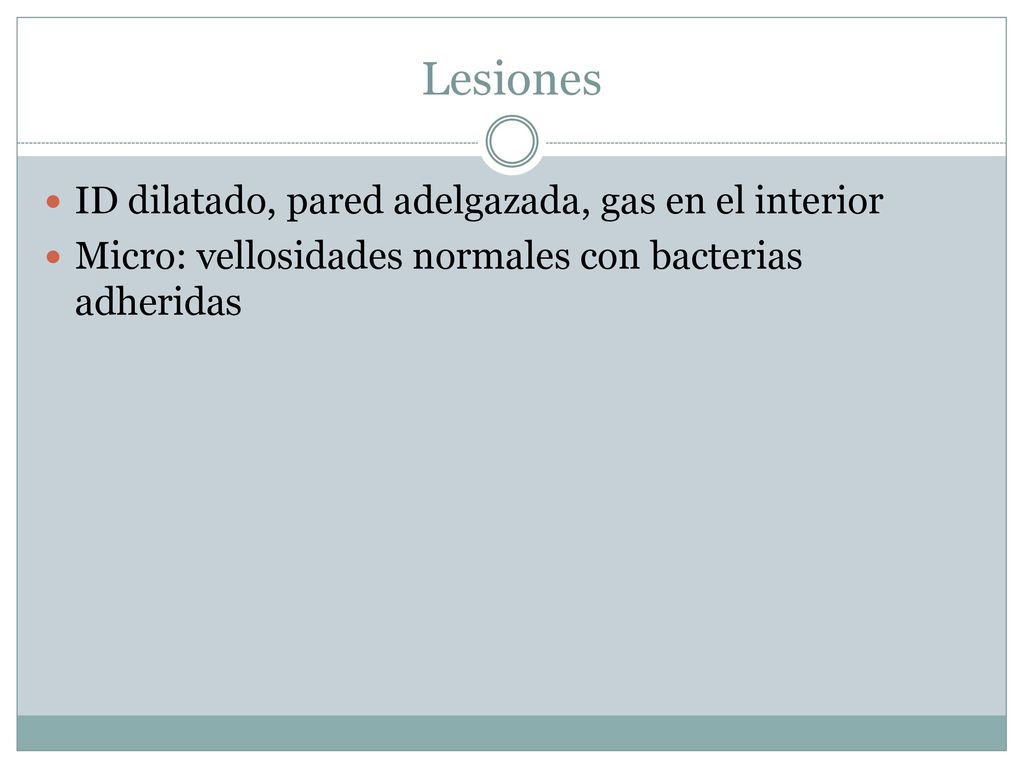 Lesiones ID dilatado, pared adelgazada, gas en el interior