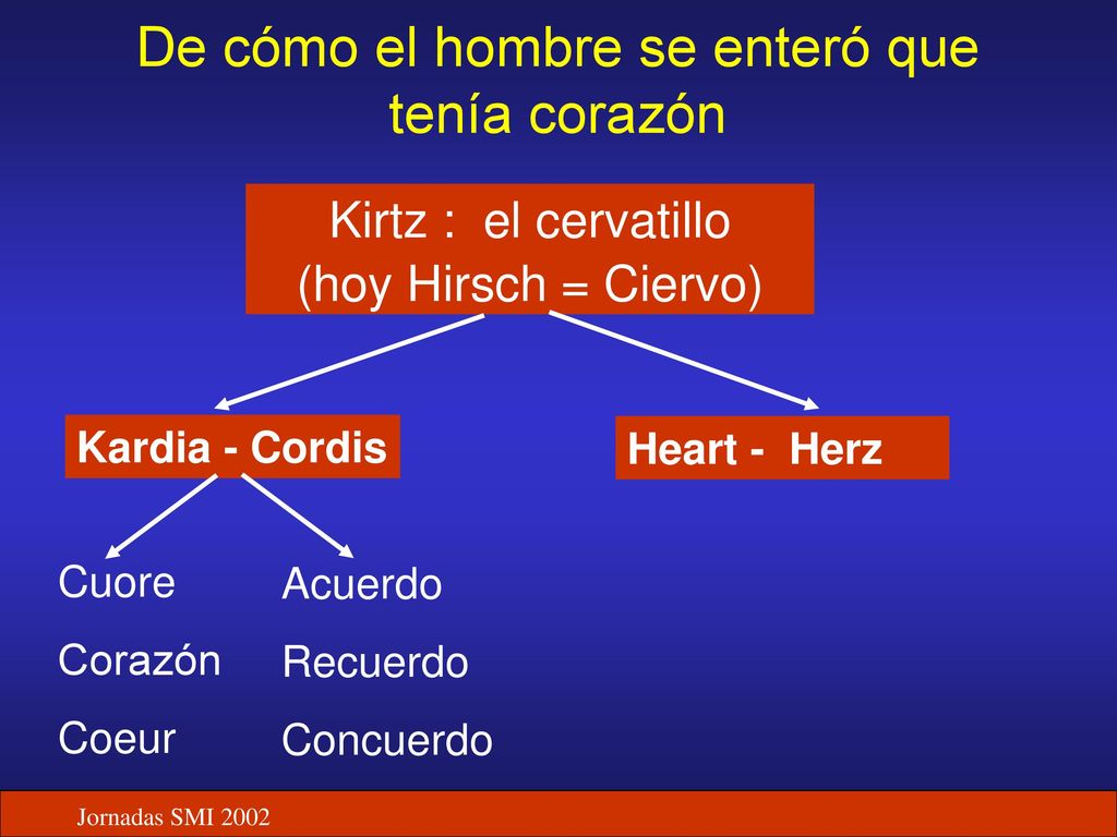 De cómo el hombre se enteró que tenía corazón