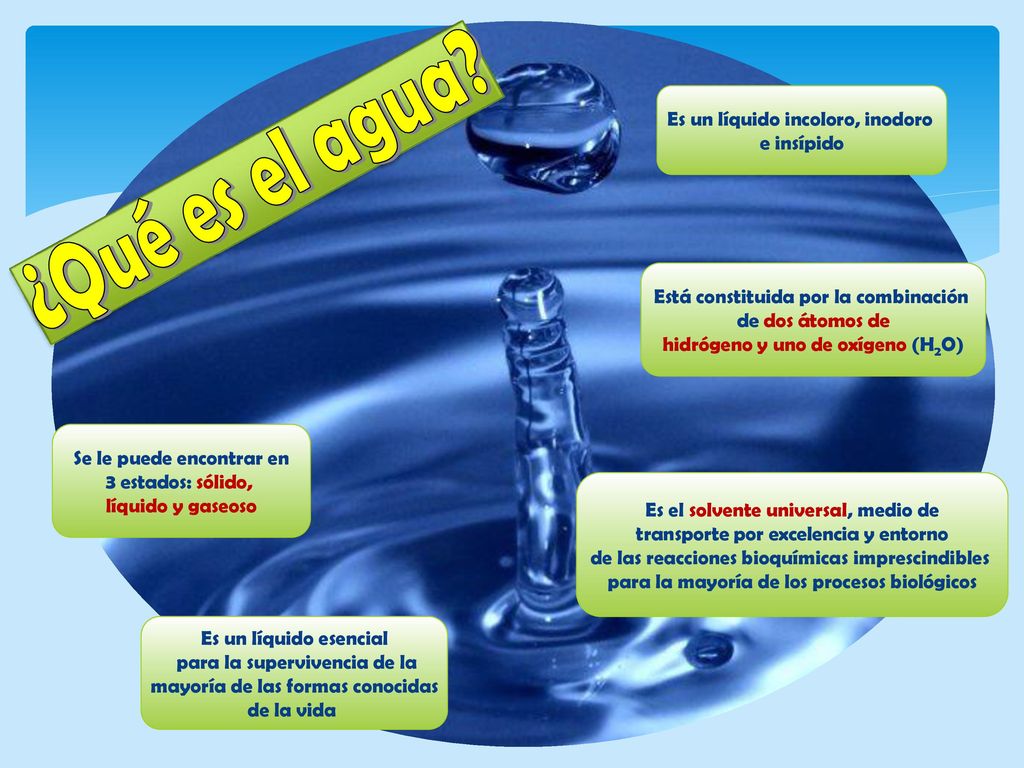 ¿Qué es el agua Es un líquido incoloro, inodoro e insípido