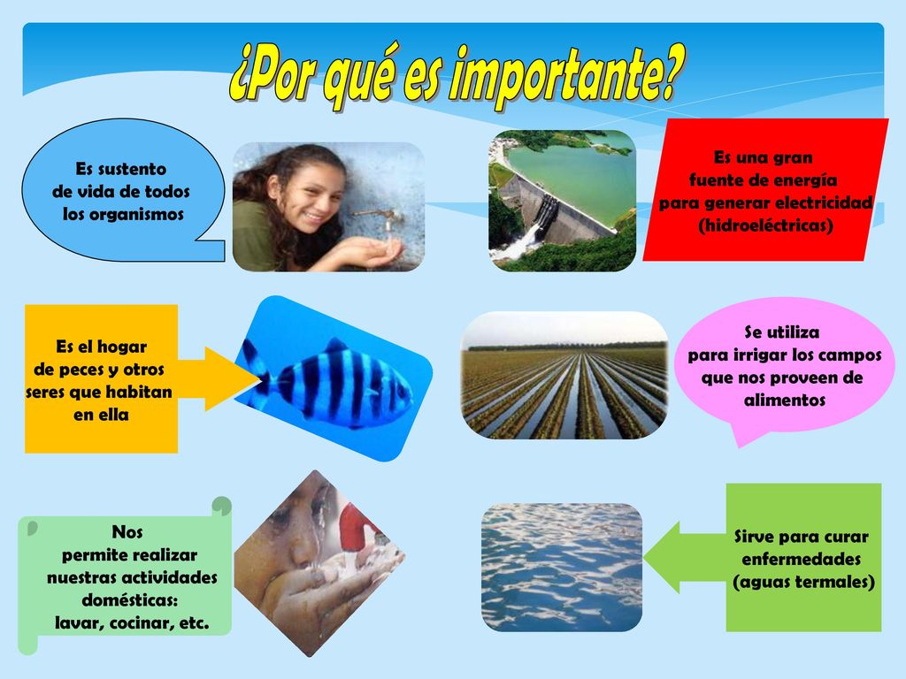 ¿Por qué es importante Es una gran Es sustento fuente de energía