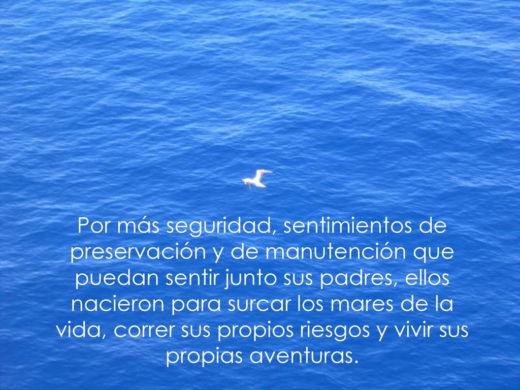 Por más seguridad, sentimientos de preservación y de manutención que puedan sentir junto sus padres, ellos nacieron para surcar los mares de la vida, correr sus propios riesgos y vivir sus propias aventuras.