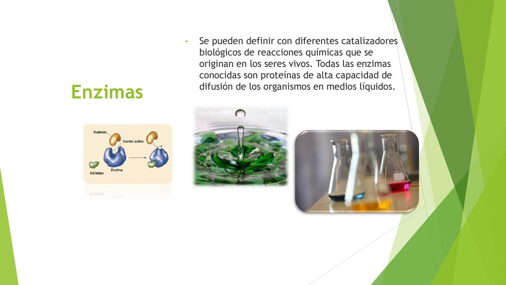 Se pueden definir con diferentes catalizadores biológicos de reacciones químicas que se originan en los seres vivos. Todas las enzimas conocidas son proteínas de alta capacidad de difusión de los organismos en medios líquidos.