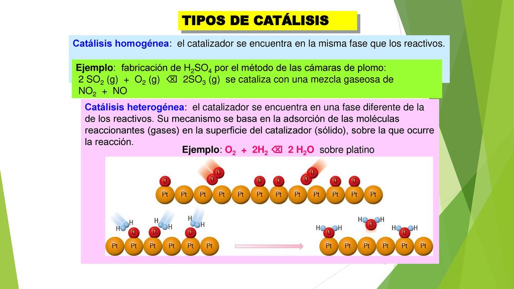 TIPOS DE CATÁLISIS Catálisis homogénea: el catalizador se encuentra en la misma fase que los reactivos.