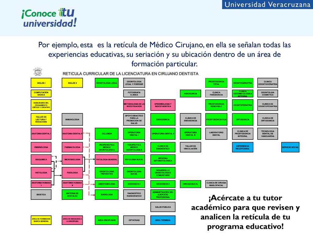 Por ejemplo, esta es la retícula de Médico Cirujano, en ella se señalan todas las experiencias educativas, su seriación y su ubicación dentro de un área de formación particular.