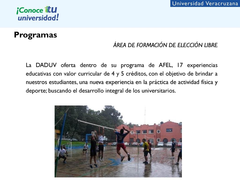 Programas ÁREA DE FORMACIÓN DE ELECCIÓN LIBRE