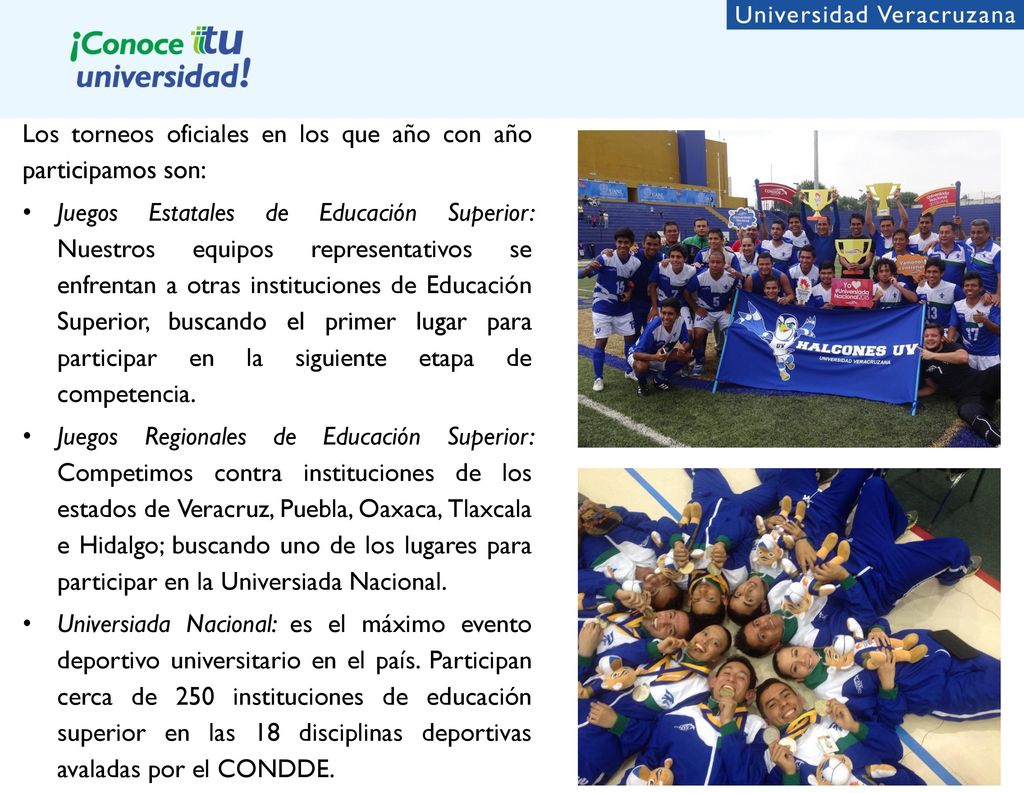 Los torneos oficiales en los que año con año participamos son: