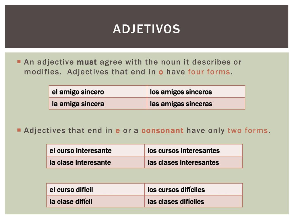 adjetivos An adjective must agree with the noun it describes or modifies. Adjectives that end in o have four forms.