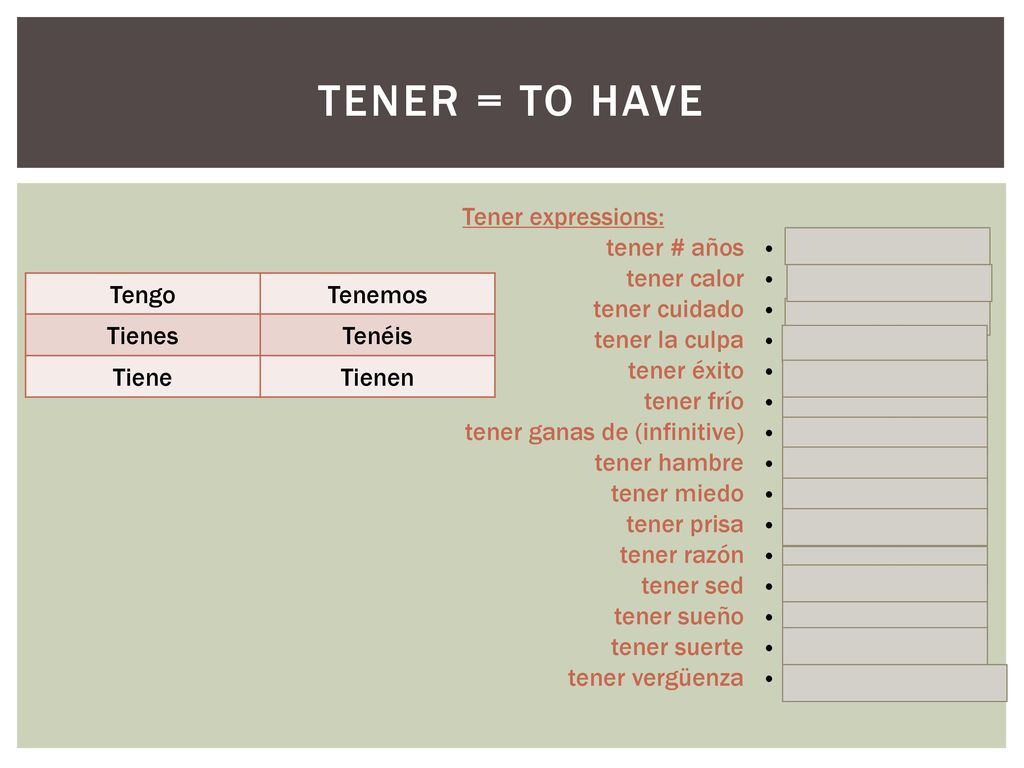 Tener = to have Tener expressions: tener # años tener calor