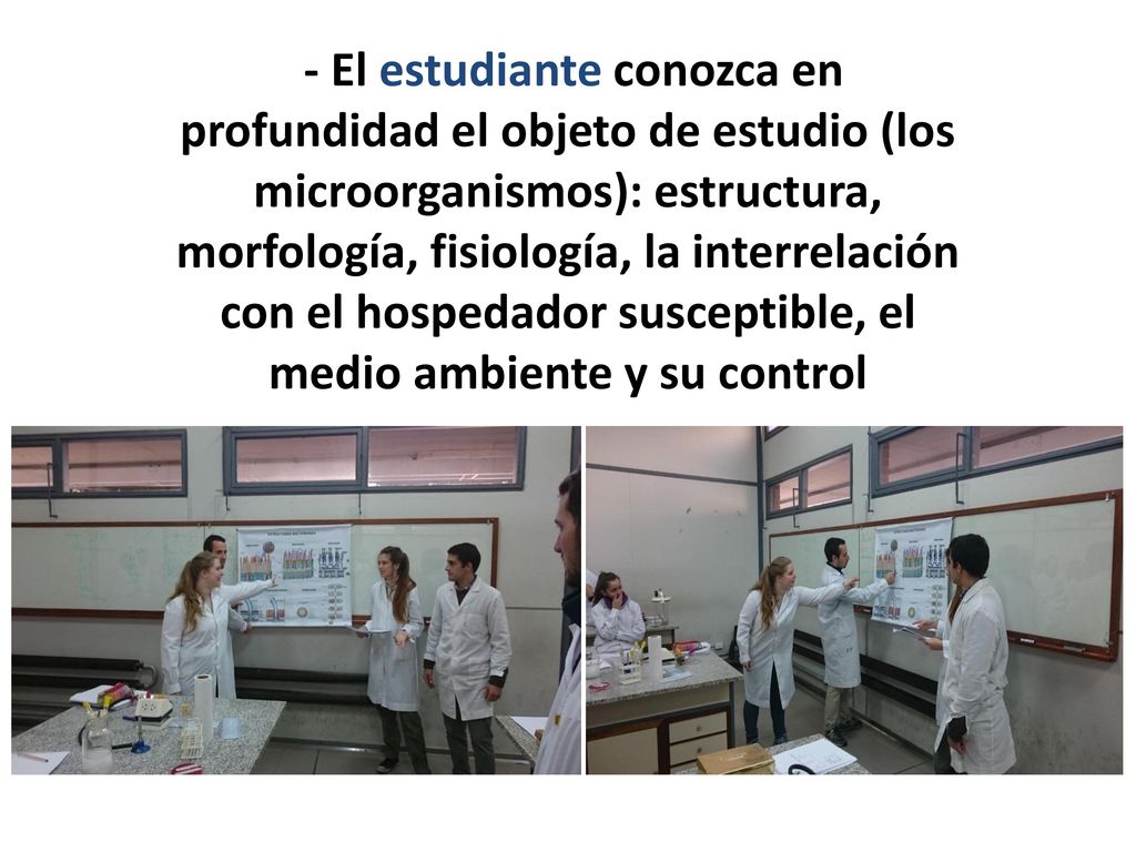 - El estudiante conozca en profundidad el objeto de estudio (los microorganismos): estructura, morfología, fisiología, la interrelación con el hospedador susceptible, el medio ambiente y su control
