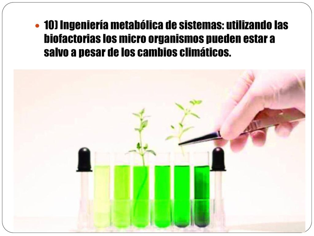 10) Ingeniería metabólica de sistemas: utilizando las biofactorias los micro organismos pueden estar a salvo a pesar de los cambios climáticos.