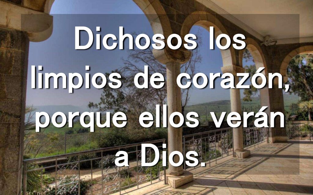 Dichosos los limpios de corazón, porque ellos verán a Dios.