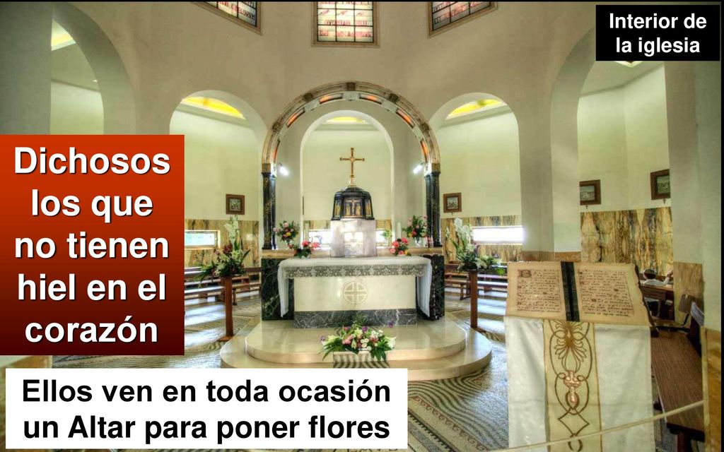 Dichosos los que no tienen hiel en el corazón