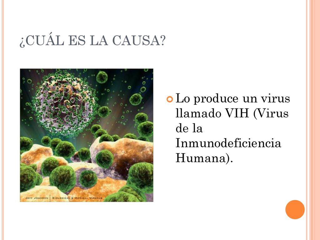 ¿CUÁL ES LA CAUSA Lo produce un virus llamado VIH (Virus de la Inmunodeficiencia Humana).