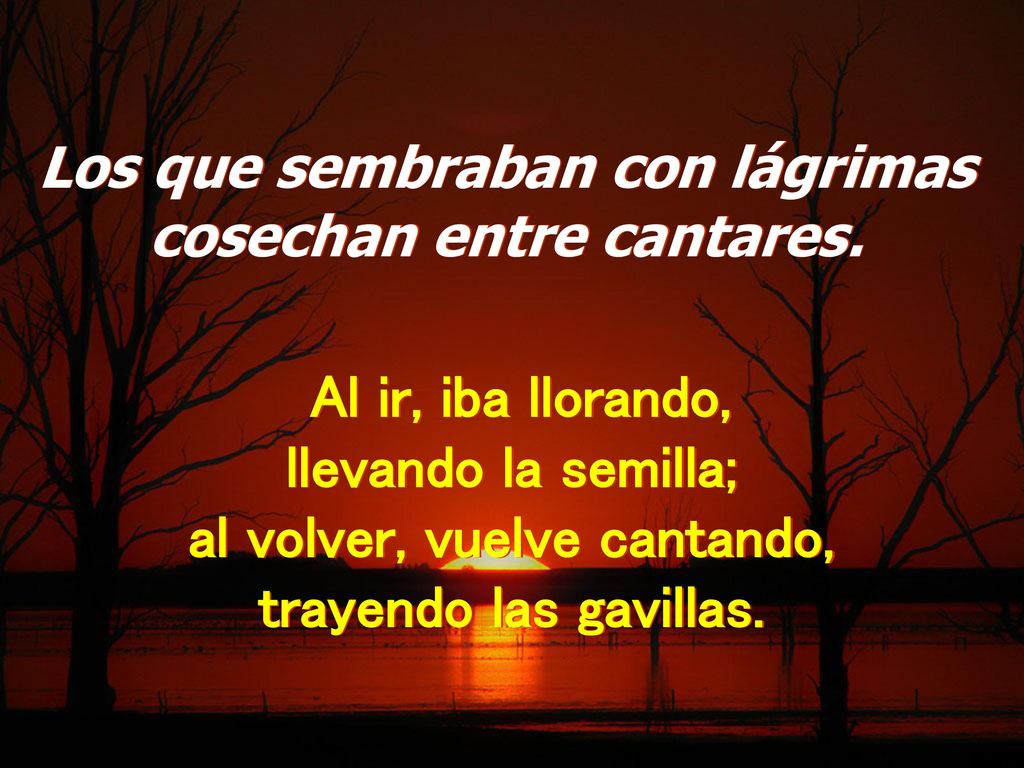 Al ir, iba llorando, llevando la semilla; al volver, vuelve cantando,