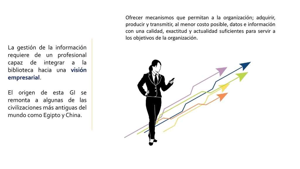 Ofrecer mecanismos que permitan a la organización; adquirir, producir y transmitir, al menor costo posible, datos e información con una calidad, exactitud y actualidad suficientes para servir a los objetivos de la organización.