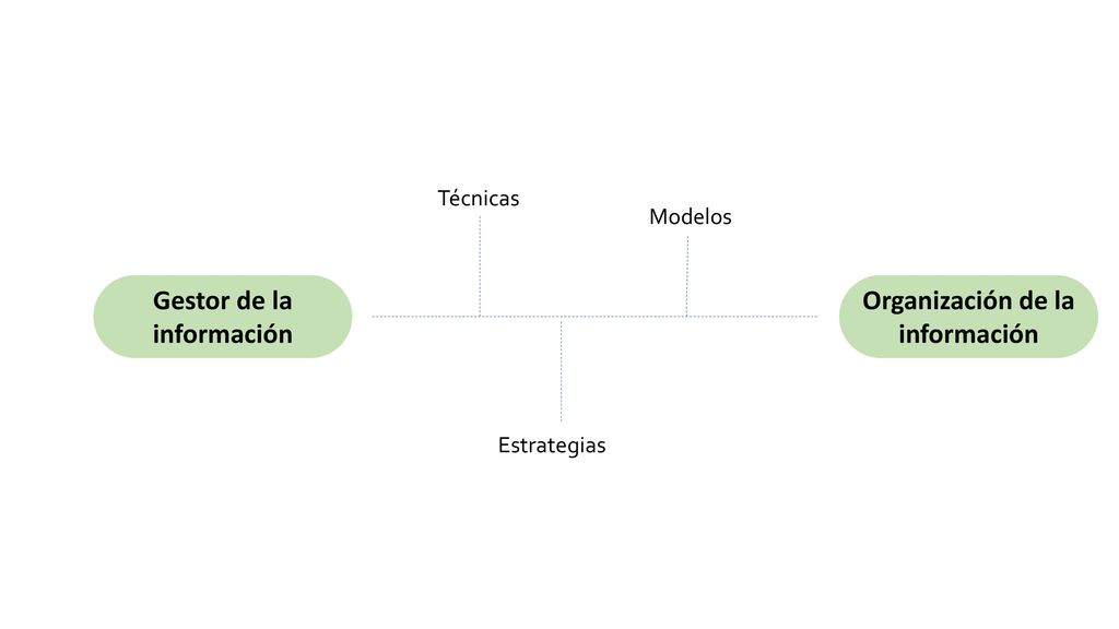Gestor de la información Organización de la información