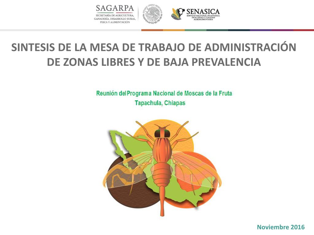 SINTESIS DE LA MESA DE TRABAJO DE ADMINISTRACIÓN DE ZONAS LIBRES Y DE BAJA PREVALENCIA