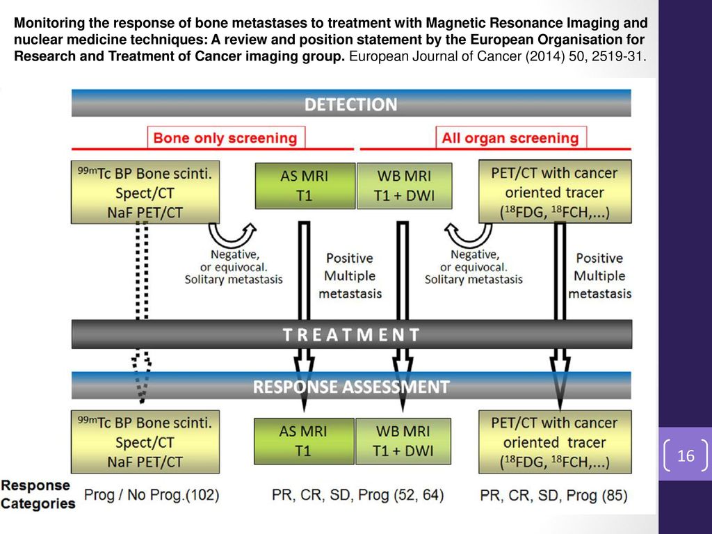 Monitoring the response of bone metastases to treatment with Magnetic Resonance Imaging and nuclear medicine techniques: A review and position statement by the European Organisation for Research and Treatment of Cancer imaging group. European Journal of Cancer (2014) 50,