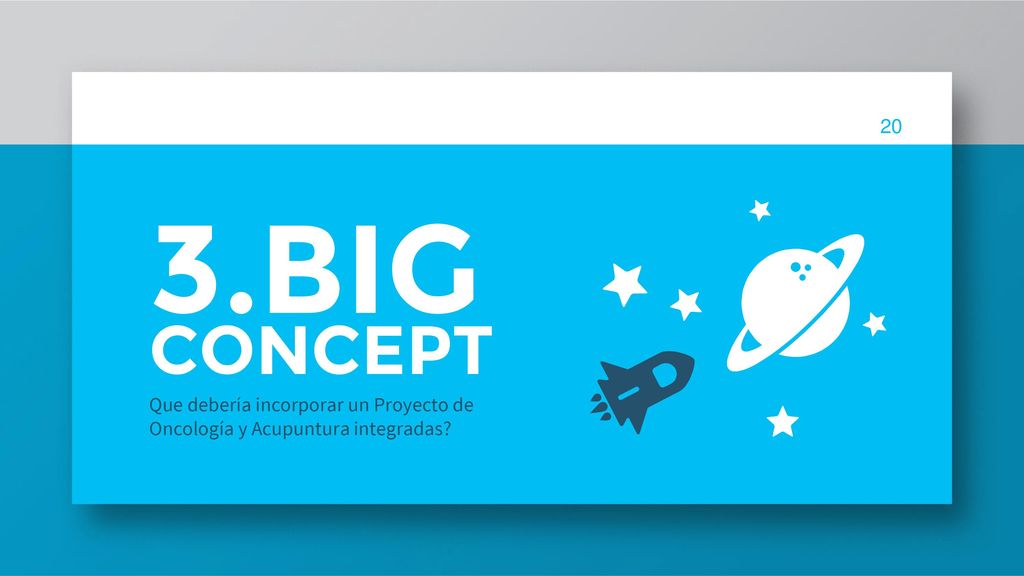 3.BIG CONCEPT Que debería incorporar un Proyecto de Oncología y Acupuntura integradas