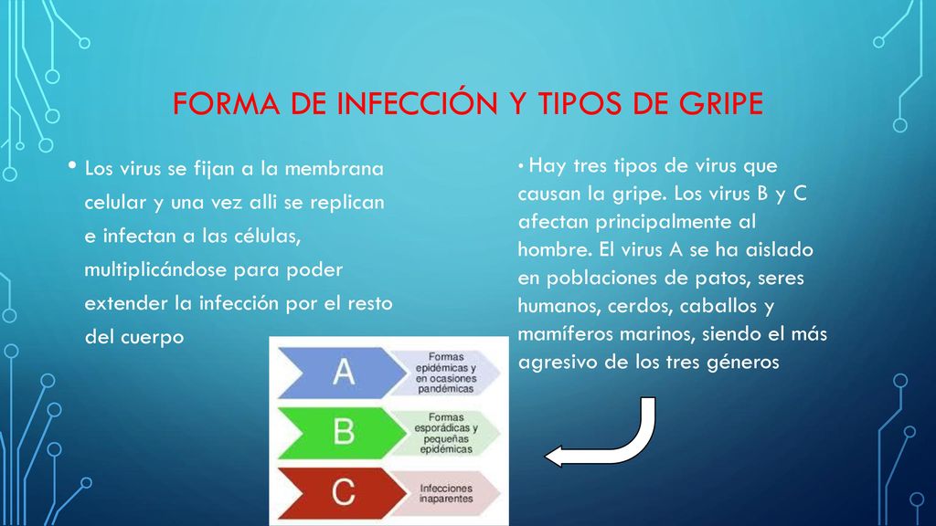 Forma de infección y tipos de gripe