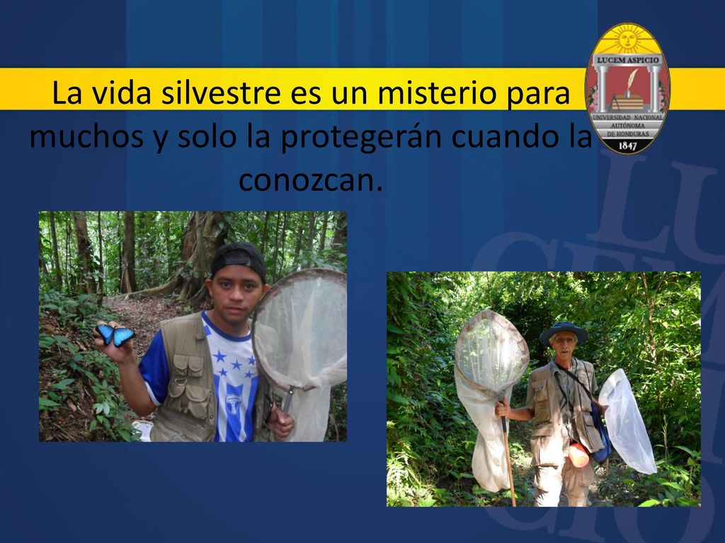 La vida silvestre es un misterio para muchos y solo la protegerán cuando la conozcan.