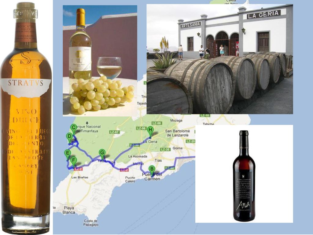Visitamos una bodega y degustamos y bebimos muchos vinos diferentes.