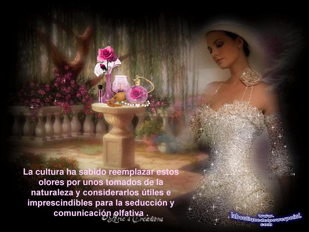 La cultura ha sabido reemplazar estos olores por unos tomados de la naturaleza y considerarlos útiles e imprescindibles para la seducción y comunicación olfativa .