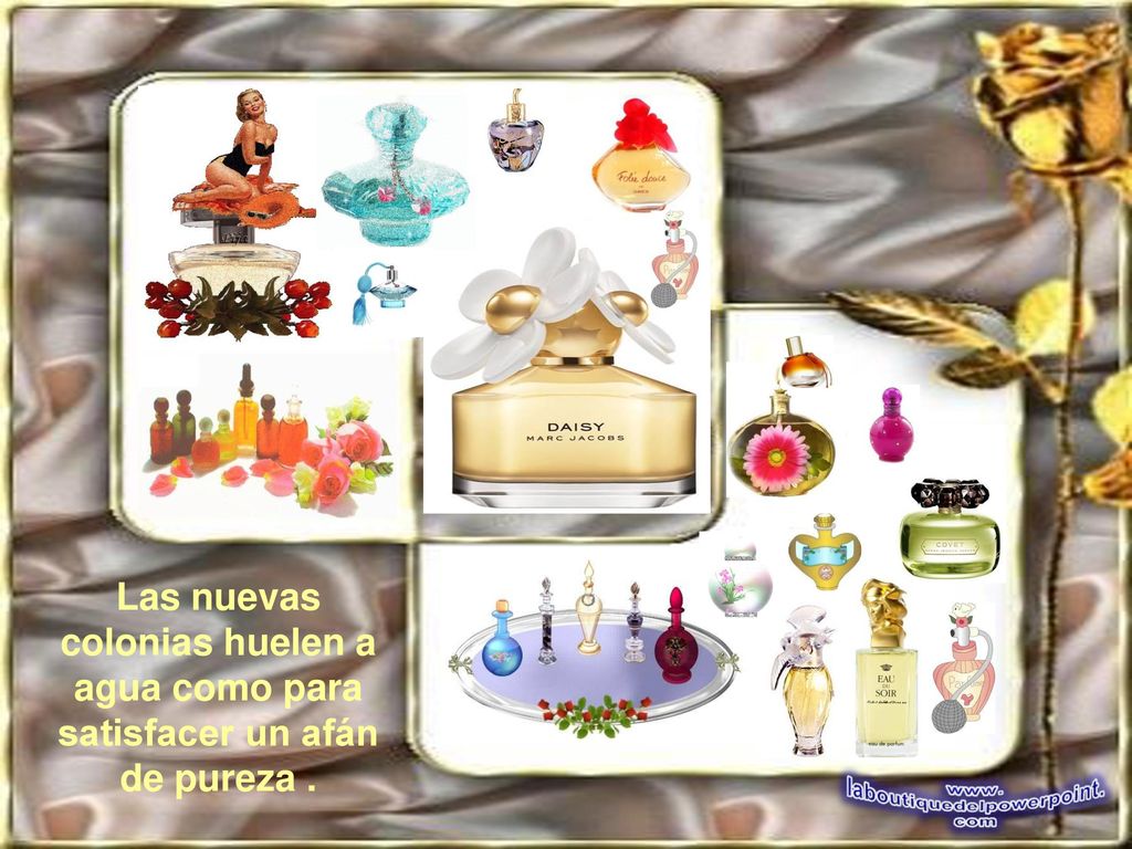 Las nuevas colonias huelen a agua como para satisfacer un afán de pureza .