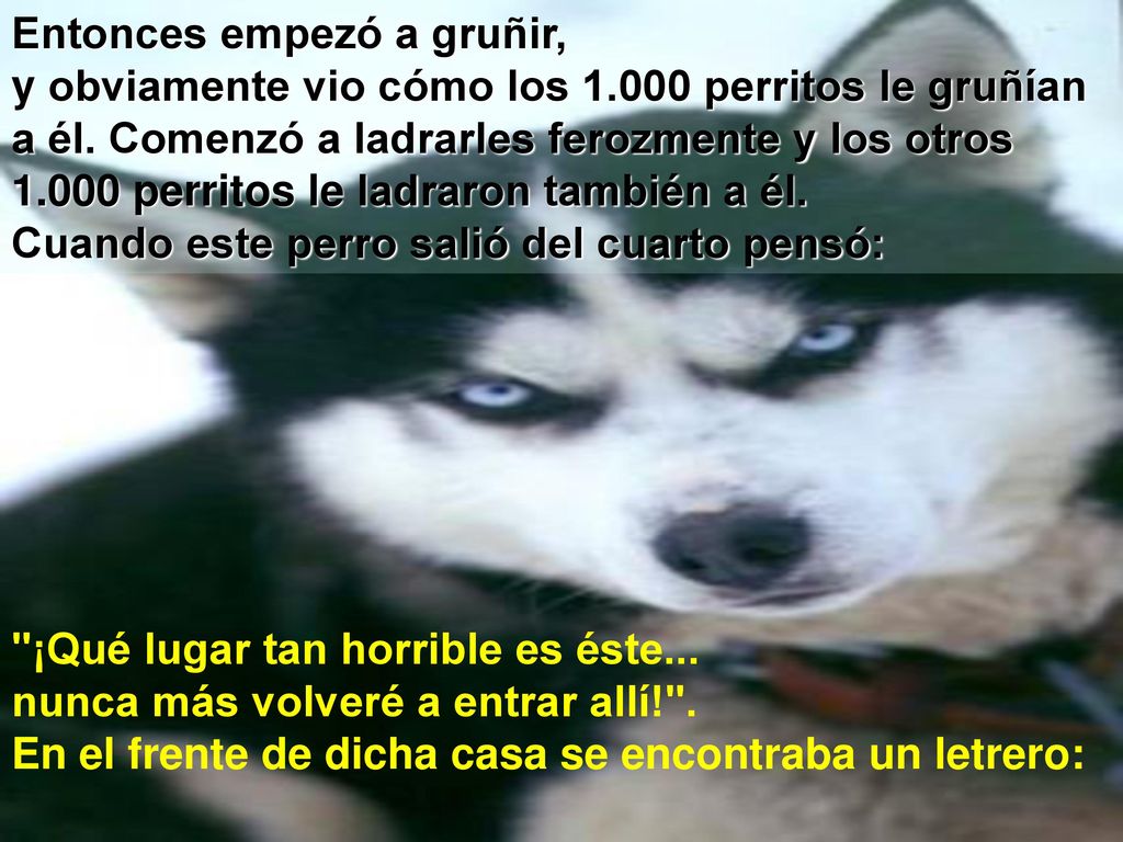 Entonces empezó a gruñir, y obviamente vio cómo los 1