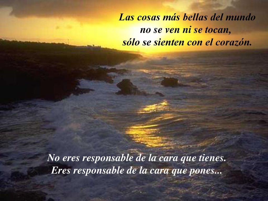 Las cosas más bellas del mundo no se ven ni se tocan,