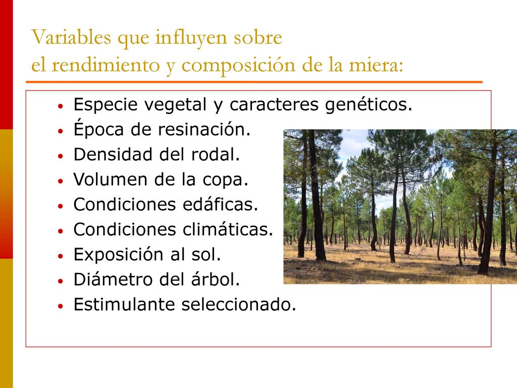 Variables que influyen sobre el rendimiento y composición de la miera: