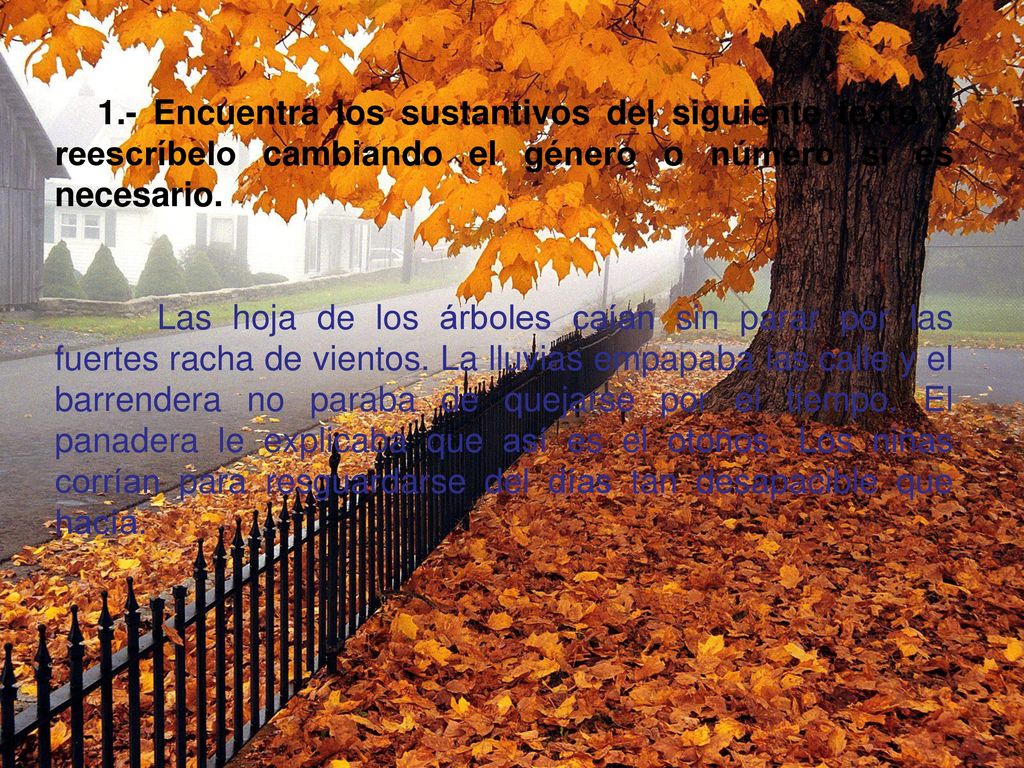 1.- Encuentra los sustantivos del siguiente texto y reescríbelo cambiando el género o número si es necesario.