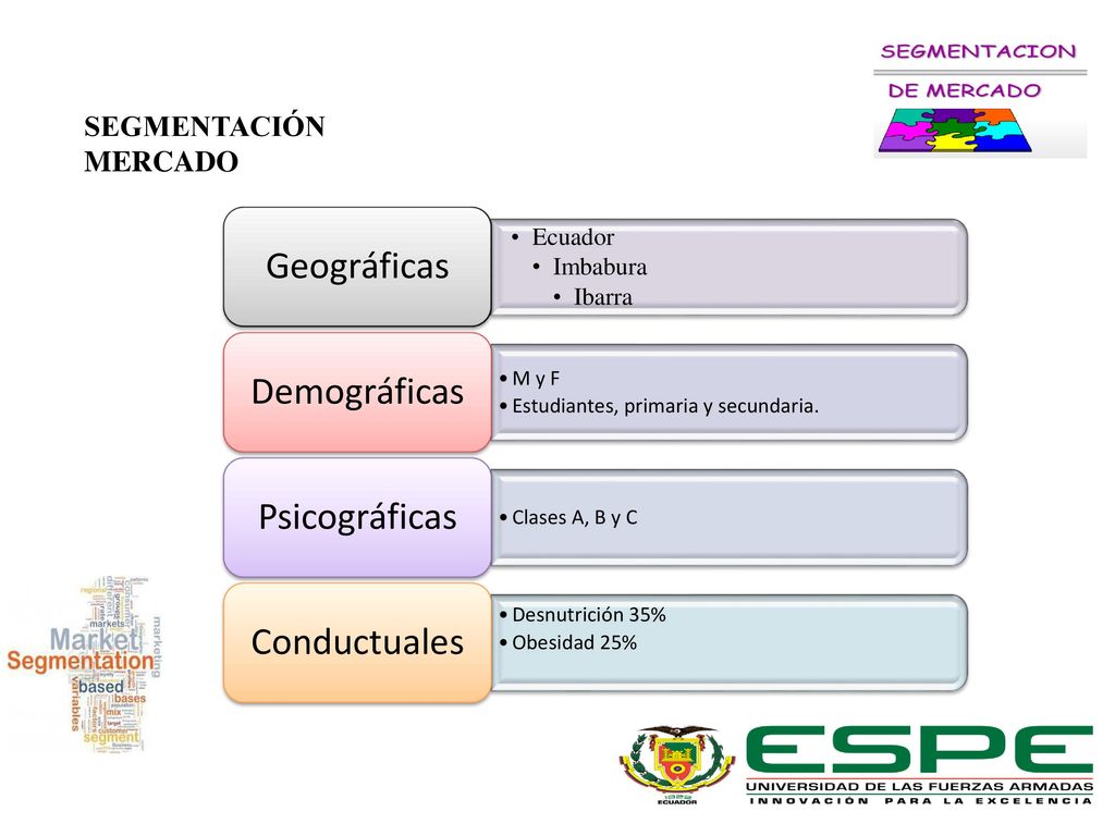 SEGMENTACIÓN MERCADO Ecuador Imbabura Ibarra Geográficas Demográficas