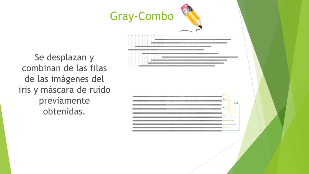 Gray-Combo Se desplazan y combinan de las filas de las imágenes del iris y máscara de ruido previamente obtenidas.