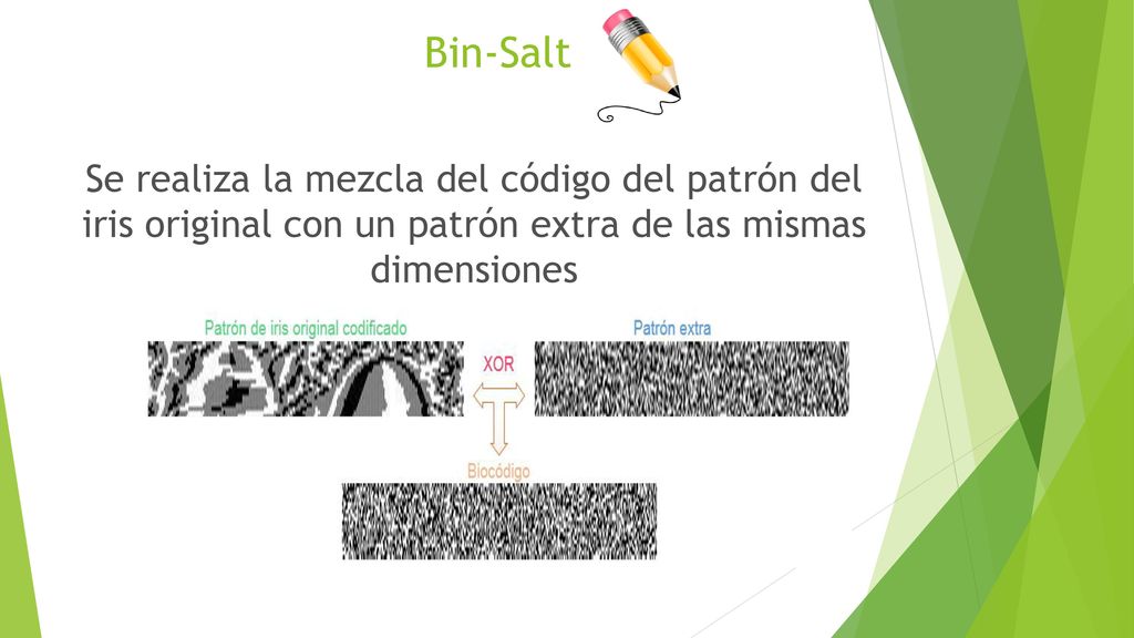 Bin-Salt Se realiza la mezcla del código del patrón del iris original con un patrón extra de las mismas dimensiones.
