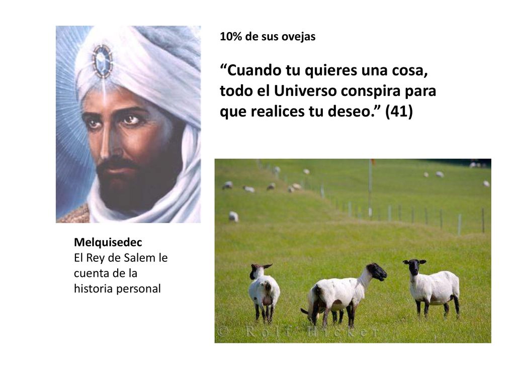 10% de sus ovejas Cuando tu quieres una cosa, todo el Universo conspira para que realices tu deseo. (41)