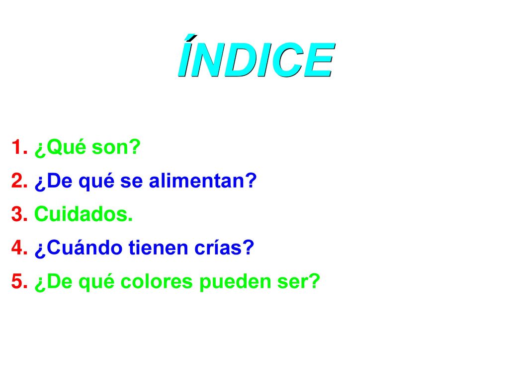 ÍNDICE 1. ¿Qué son 2. ¿De qué se alimentan 3. Cuidados.
