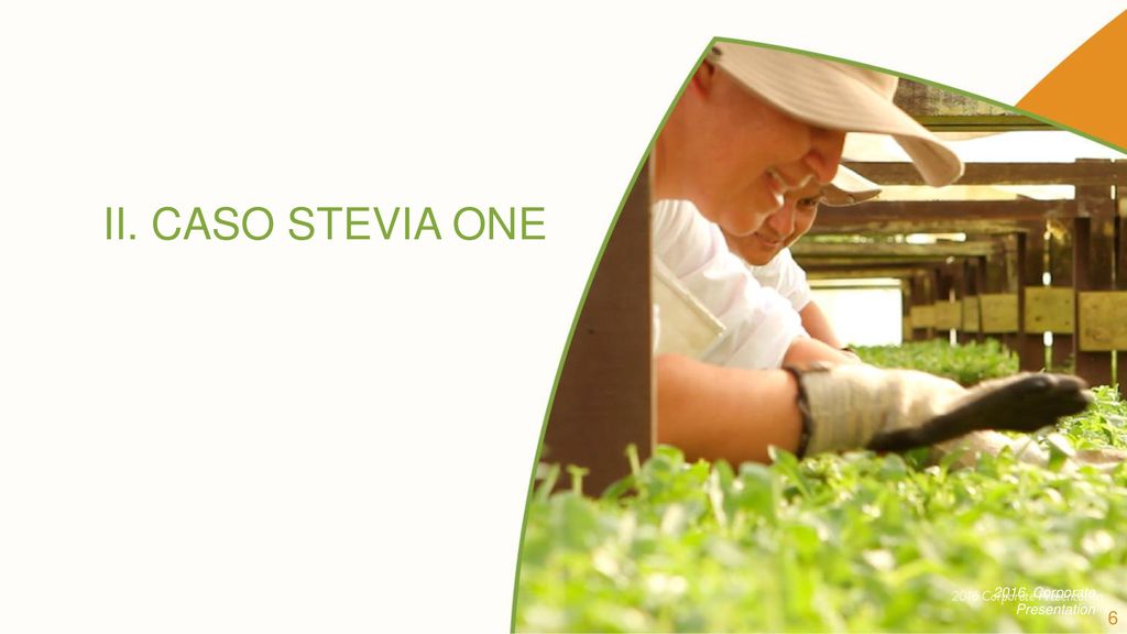 II. CASO STEVIA ONE 2016 Corporate Presentation