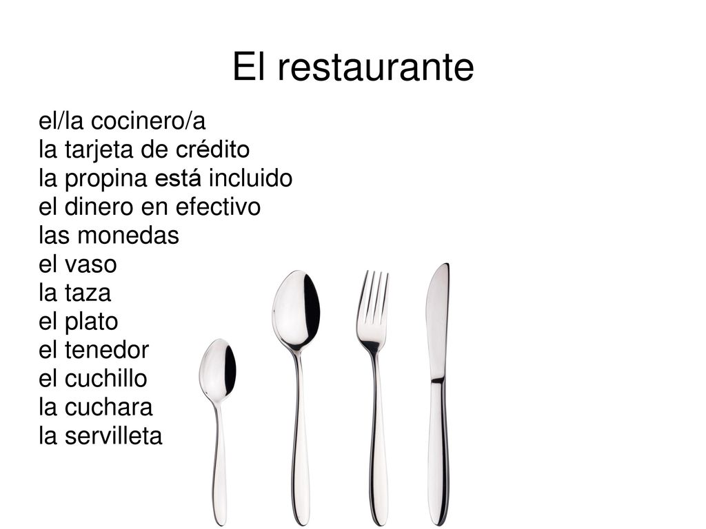 El restaurante el/la cocinero/a chef la tarjeta de crédito credit card