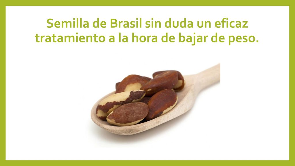 Semilla de Brasil sin duda un eficaz tratamiento a la hora de bajar de peso.